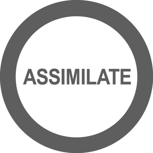 Assimilate Inc.